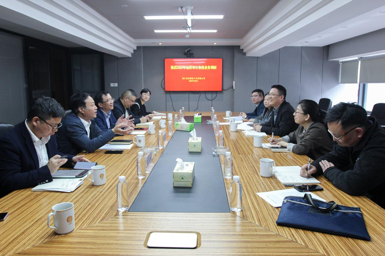 集团到公司开展运营审计条线调演.png